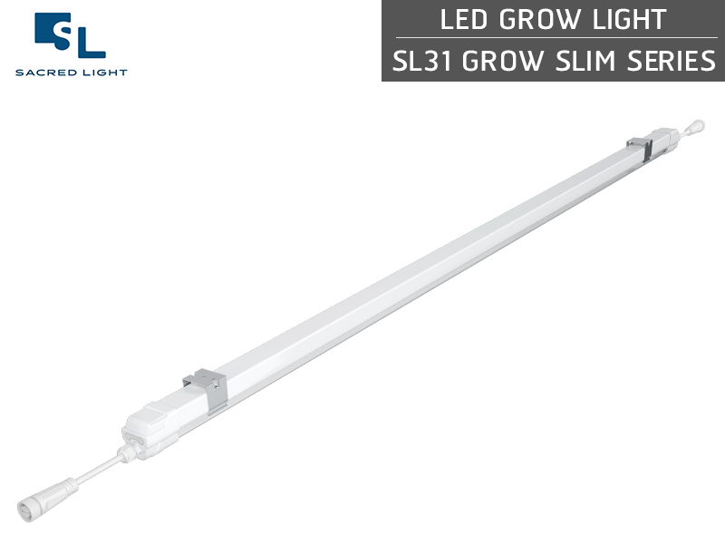 ไฟปลูกต้นไม้ LED (LED Grow Light) : รุ่น SL31 GROW SLIM