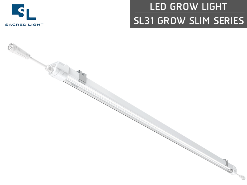 ไฟปลูกต้นไม้ LED (LED Grow Light) : รุ่น SL31 GROW SLIM