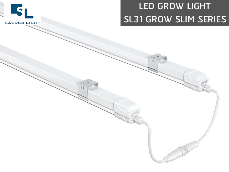 ไฟปลูกต้นไม้ LED (LED Grow Light) : รุ่น SL31 GROW SLIM