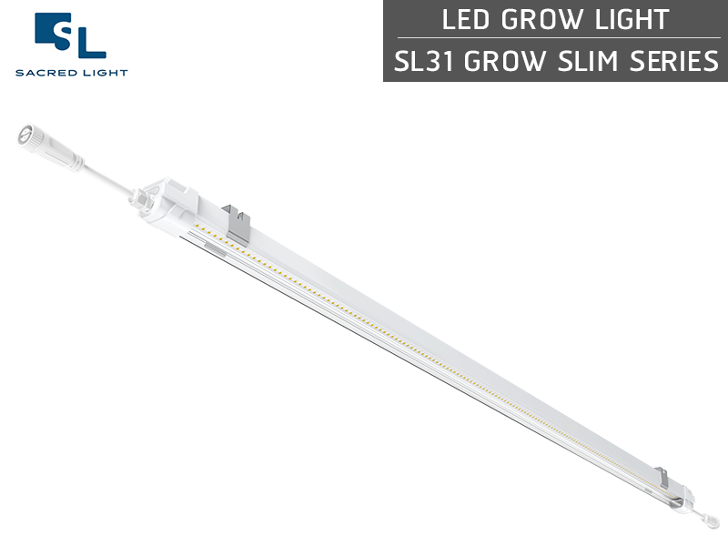 ไฟปลูกต้นไม้ LED (LED Grow Light) : รุ่น SL31 GROW SLIM