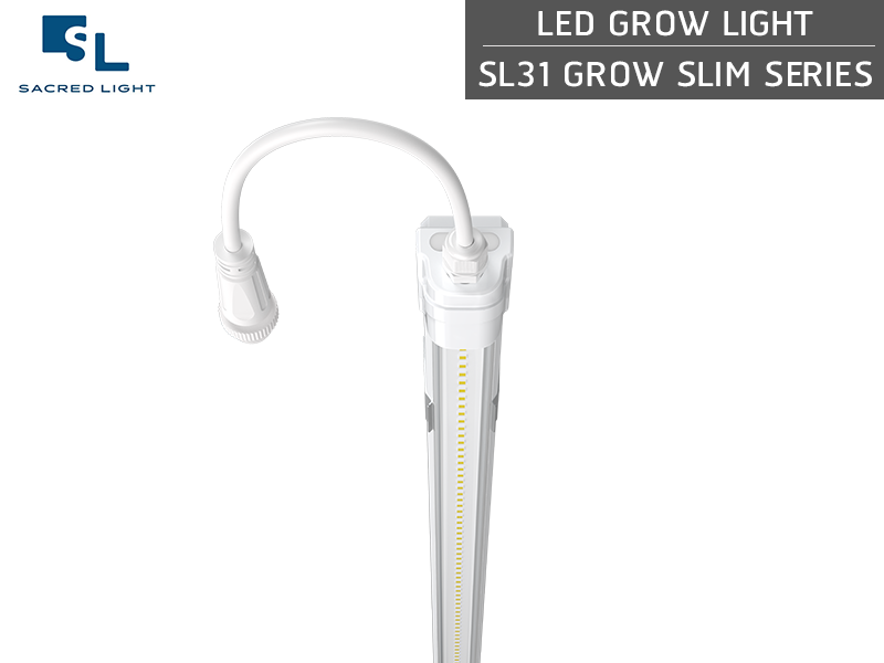 ไฟปลูกต้นไม้ LED (LED Grow Light) : รุ่น SL31 GROW SLIM