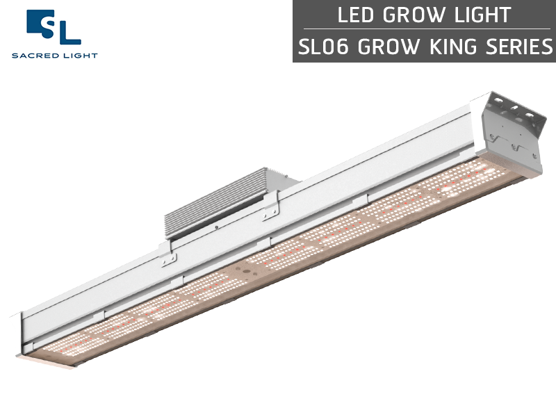 ไฟปลูกต้นไม้ LED (LED Grow Light) : รุ่น SL06 GROW KING ไฟปลูกต้นไม้ LED (LED Grow Light) : รุ่น SL06 GROW KING