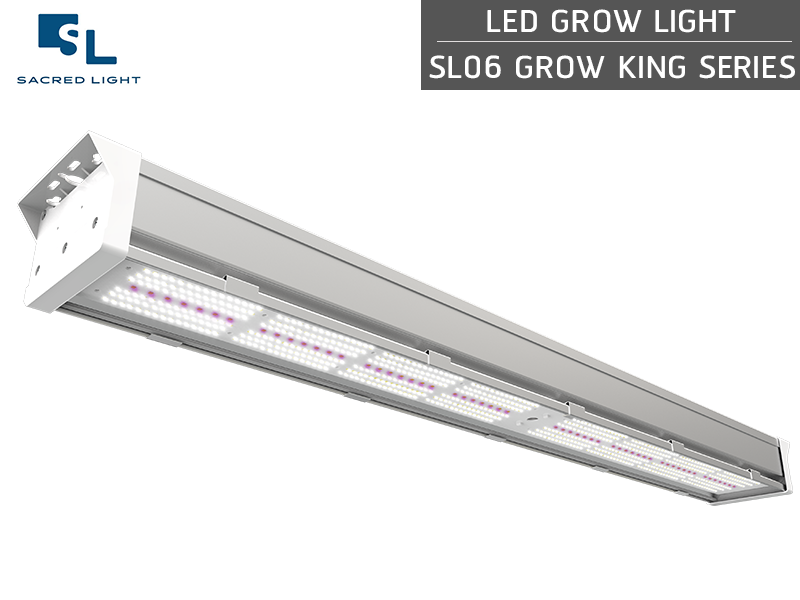 ไฟปลูกต้นไม้ LED (LED Grow Light) : รุ่น SL06 GROW KING ไฟปลูกต้นไม้ LED (LED Grow Light) : รุ่น SL06 GROW KING