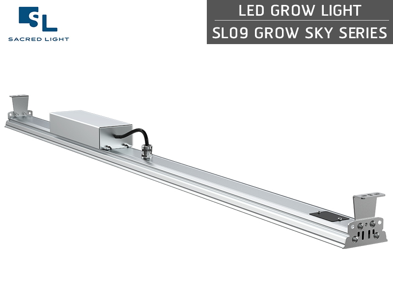 ไฟปลูกต้นไม้ LED (LED Grow Light) : รุ่น SL09 GROW SKY ไฟปลูกต้นไม้ LED (LED Grow Light) : รุ่น SL09 GROW SKY