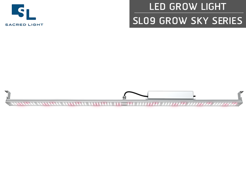 ไฟปลูกต้นไม้ LED (LED Grow Light) : รุ่น SL09 GROW SKY