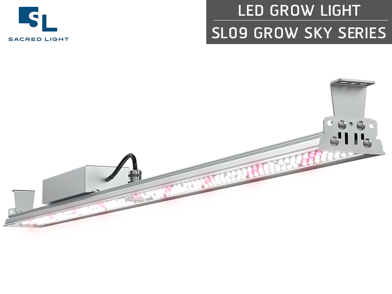 ไฟปลูกต้นไม้ LED (LED Grow Light) : รุ่น SL09 GROW SKY ไฟปลูกต้นไม้ LED (LED Grow Light) : รุ่น SL09 GROW SKY