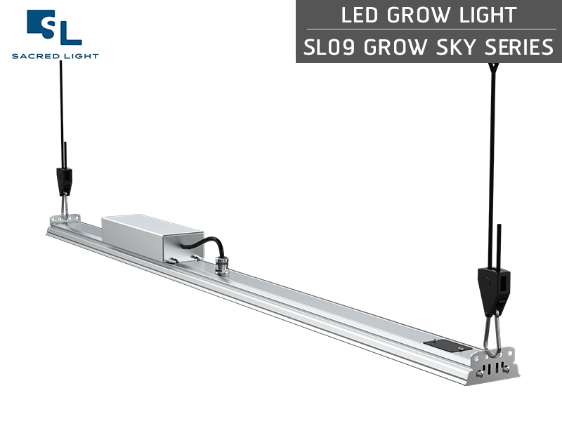 ไฟปลูกต้นไม้ LED (LED Grow Light) : รุ่น SL09 GROW SKY ไฟปลูกต้นไม้ LED (LED Grow Light) : รุ่น SL09 GROW SKY