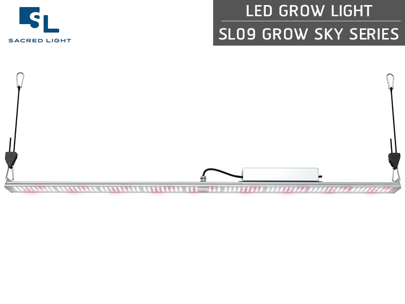 ไฟปลูกต้นไม้ LED (LED Grow Light) : รุ่น SL09 GROW SKY ไฟปลูกต้นไม้ LED (LED Grow Light) : รุ่น SL09 GROW SKY