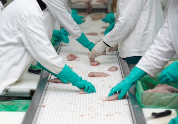 ไลน์ผลิตอุตสาหกรรมอาหาร พื้นที่อนามัยที่เน้นย้ำเรื่องความสะอาด จำเป็นต้องใช้โคมไฟคลีนรูม