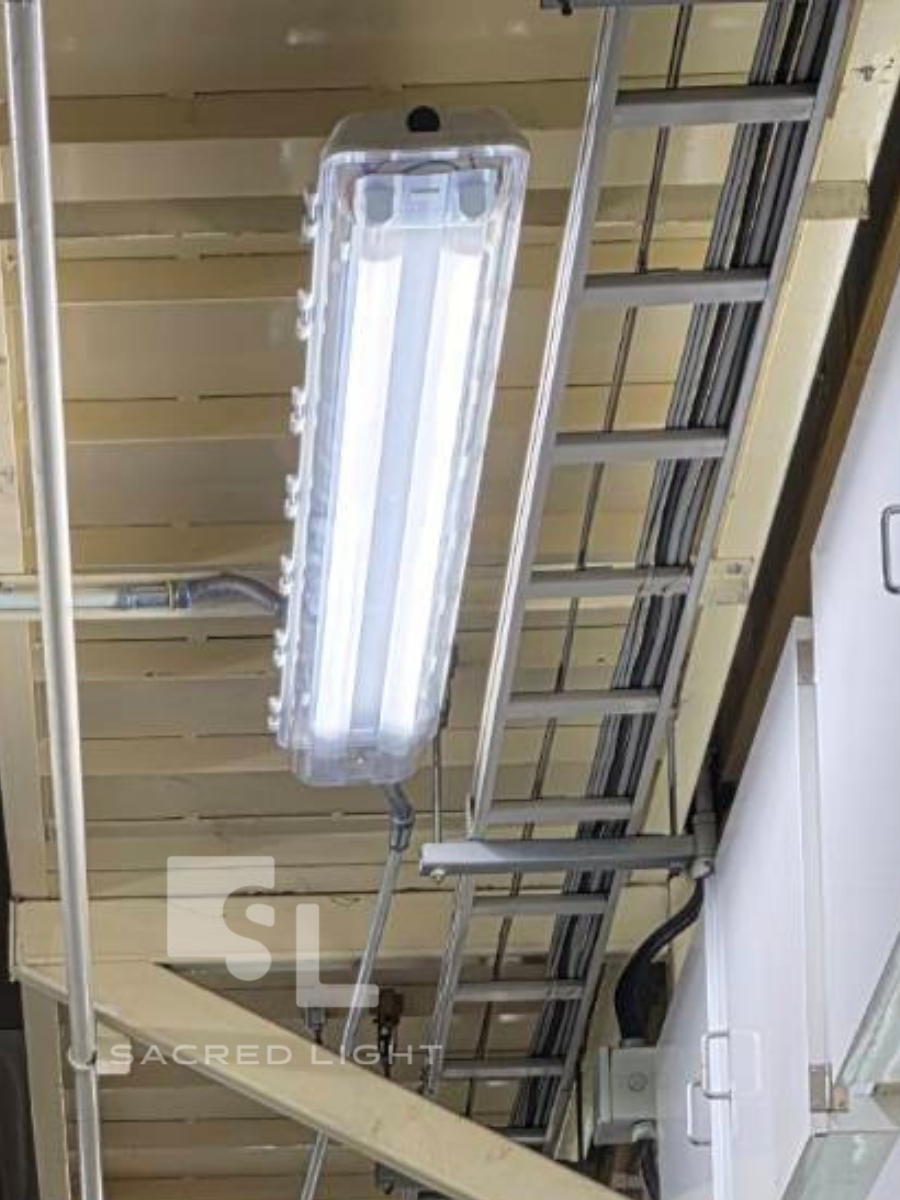 ภาพหลังติดตั้งโคมไฟกันระเบิด BYS Series โรงงานผลิตชิ้นส่วนอิเล็กทรอนิกส์ ชลบุรี