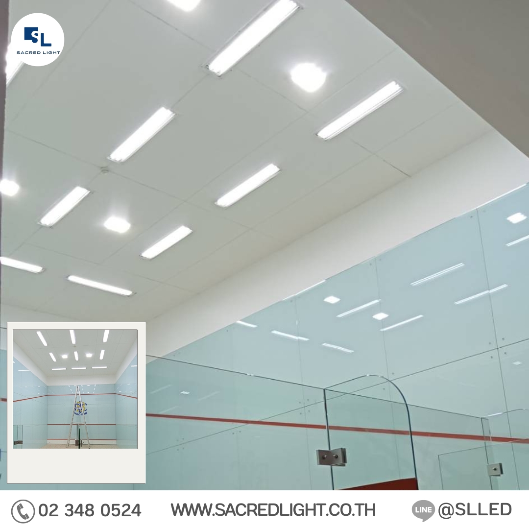 โคมไฟฝังฝ้า LED รุ่น CP6 Series