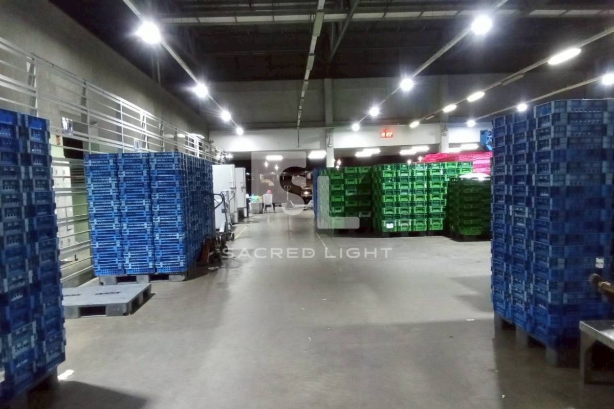 ทางเดินระหว่างชั้นวางสินค้าโซนทั่วไป CP All ใต้แสงโคมไฮเบย์ LED E14