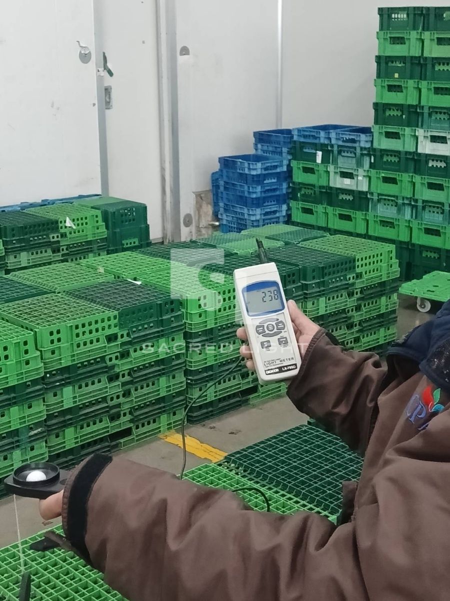 วัดค่าความสว่างจุดเก็บสินค้าในห้องเย็น CP All ได้ 238 lux หลังติดตั้งโคมกันน้ำกันฝุ่น