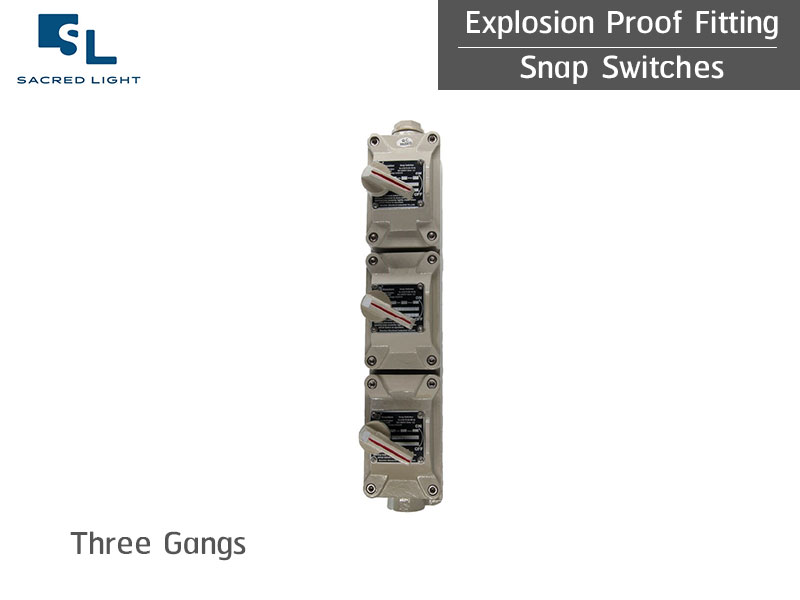 อุปกรณ์กันระเบิด ประเภท สวิตซ์ไฟกันระเบิด SMN Series