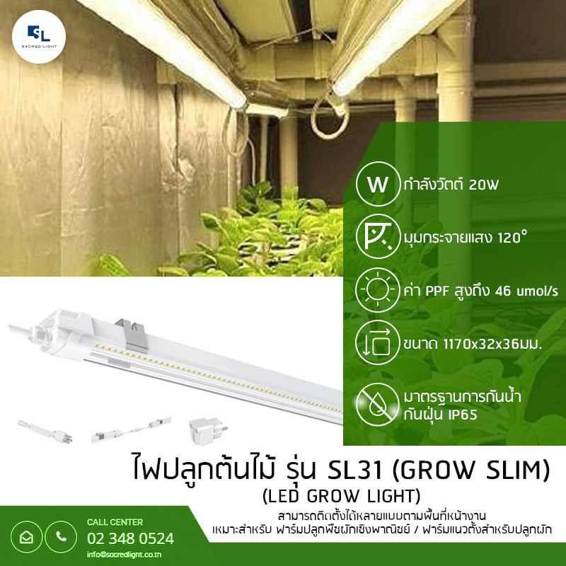 ไฟปลูกต้นไม้ LED (LED Grow Light) : รุ่น SL31 GROW SLIM