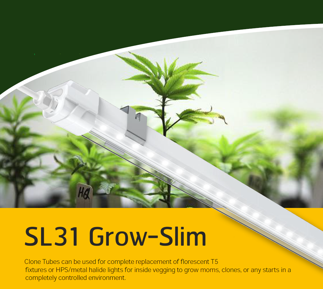 ไฟปลูกต้นไม้ LED รุ่น SL31 GROW SLIM