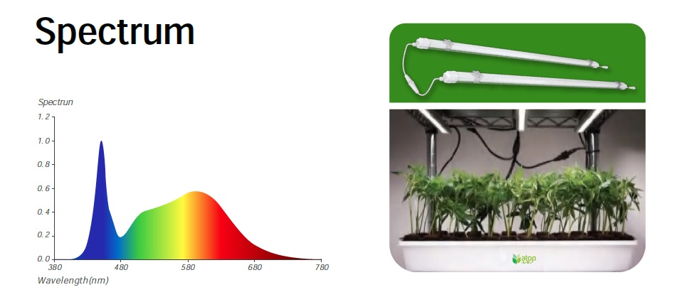 Spectrum ไฟปลูกต้นไม้ LED รุ่น SL31 GROW SLIM