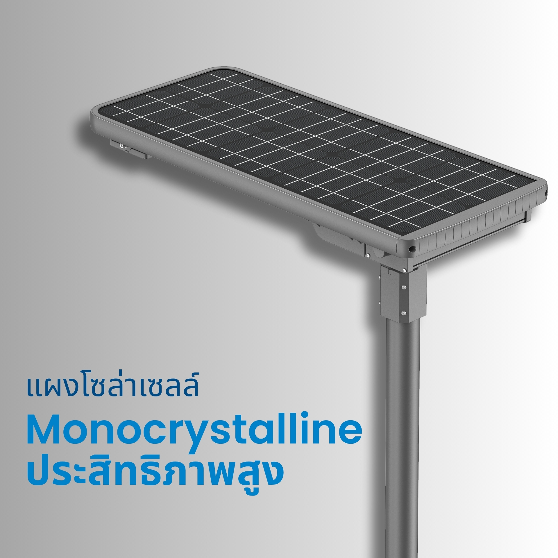 แผงโซลาร์เซลล์ Monocrystalline ประสิทธิภาพสูง แปลงพลังงานแสงอาทิตย์ได้ดีกว่าแบบ Polycrystalline ผลิตพลังงานได้ต่อเนื่องแม้ในวันที่มีแสงแดดน้อย