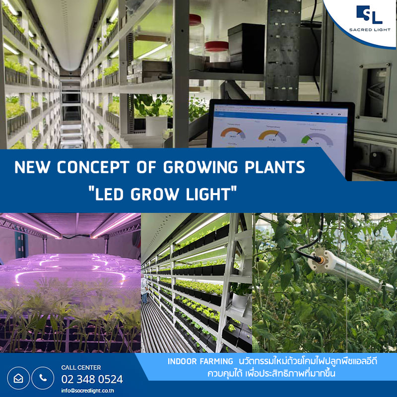 ไฟ LED ปลูกพืชในที่ร่ม (LED GLOW LIGHT for INDOOR FARMING )